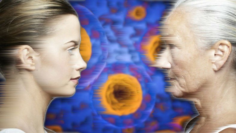 Ulaş Utku Bozdoğan: Dışkıdaki Bakteriler Yaşlanma Tesirlerini Bilakis Çevirebilir 3