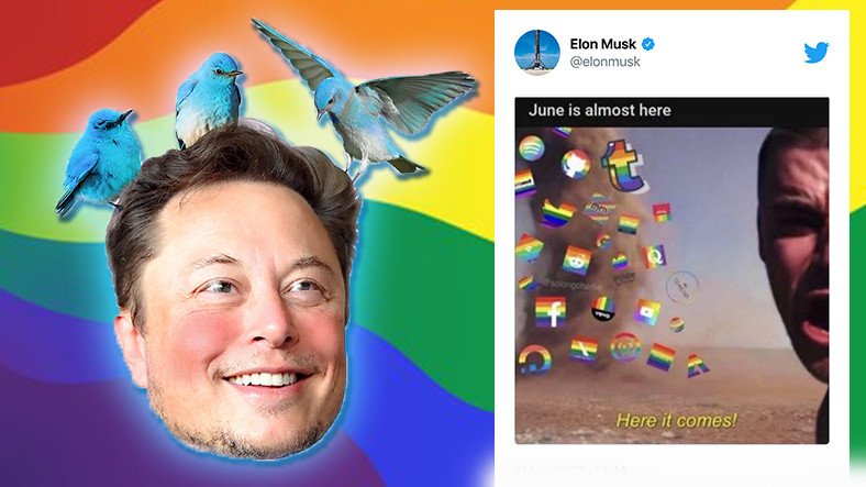 İnanç Can Çekmez: Elon Musk'tan LGBT Topluluğunu Kızdıran Paylaşım 19