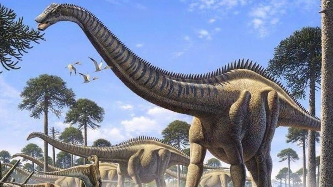 Şinasi Kaya: Eski Çağlardaki Hayvanlar Neden Çok Büyüktü? 29
