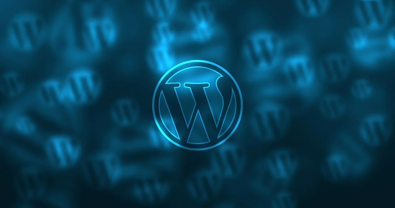 Ulaş Utku Bozdoğan: Hackerların Amacında Artık de WordPress Var 17