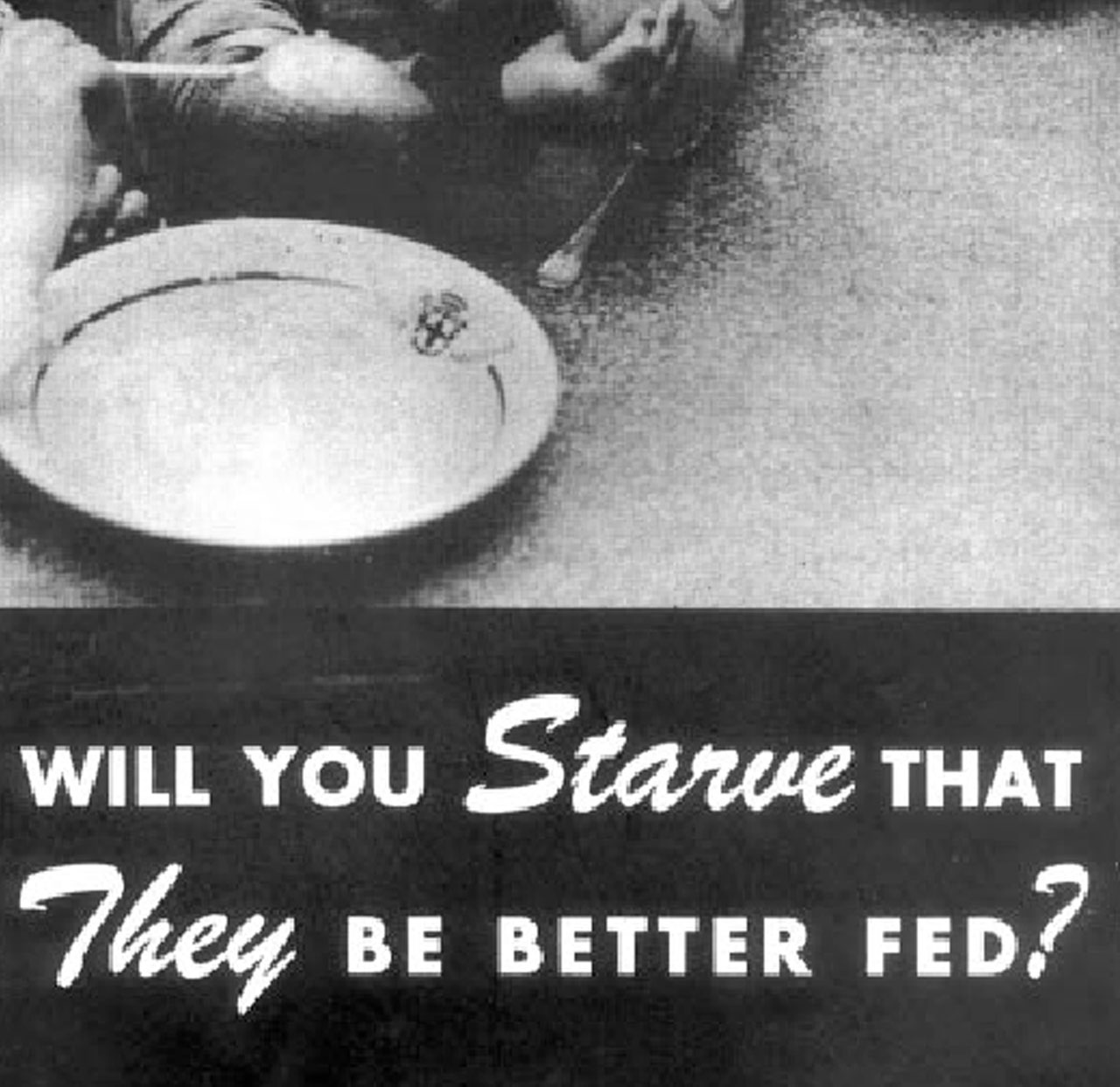 Şinasi Kaya: Minnesota Açlık Deneyi Nedir? 1