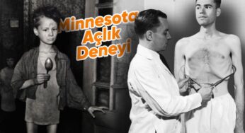 Minnesota Açlık Deneyi Nedir?