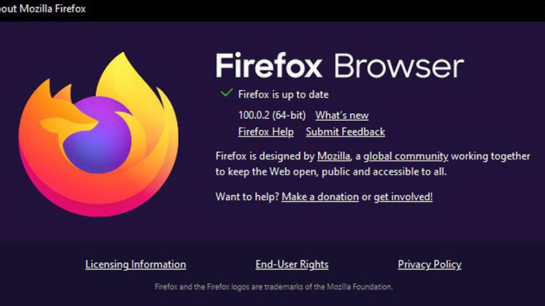 Şinasi Kaya: Pwn2Own Etkinliğinde Mozilla Firefox’un Açığı Tespit Edildi 3