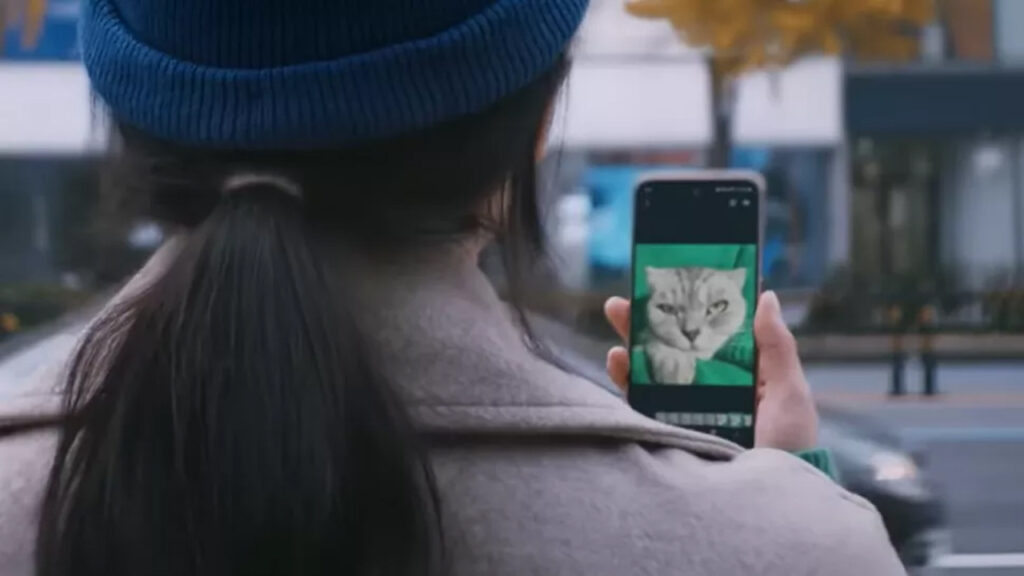 Şinasi Kaya: Samsung, muhtemelen Galaxy S23'te kullanacağı kamerasının gücünü kedilerle tanıttı 1