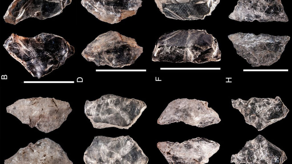 Meral Erden: 65.000 yaşındaki birinci "İsviçre çakısı" insanlık tarihi için değerli bilgiler veriyor 1