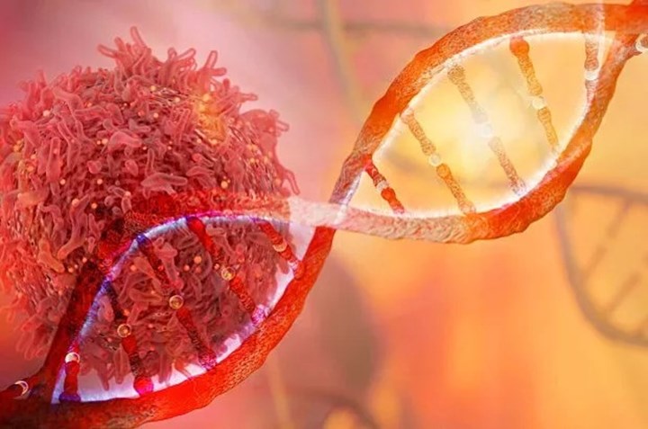 İnanç Can Çekmez: Bilim Insanları En Güçlü Kanser Tipleriyle Savaşacak Yeni Bir Bileşik Geliştirdi 1