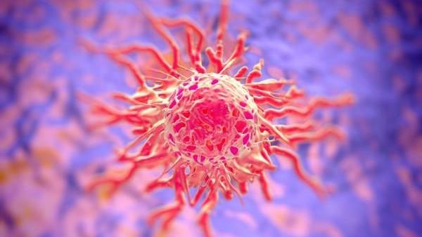 İnanç Can Çekmez: Bilim insanları en güçlü kanser tipleriyle savaşacak yeni bir bileşik geliştirdi 5