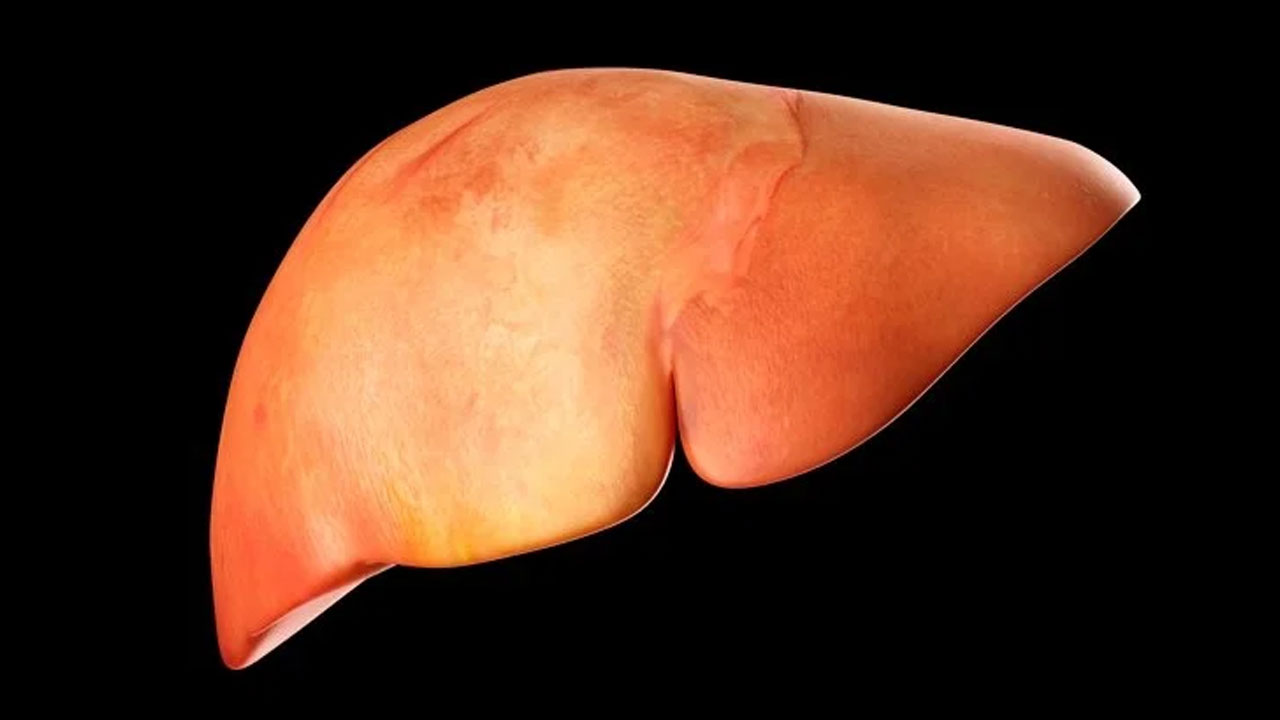 Şinasi Kaya: Her Karaciğerin Ortalama 3 Yaşında Olduğu Keşfedildi 3