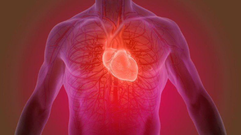 Ulaş Utku Bozdoğan: Kalp Krizini ‘İyileştirebilecek’ Yeni Bir Yol Keşfedildi 5