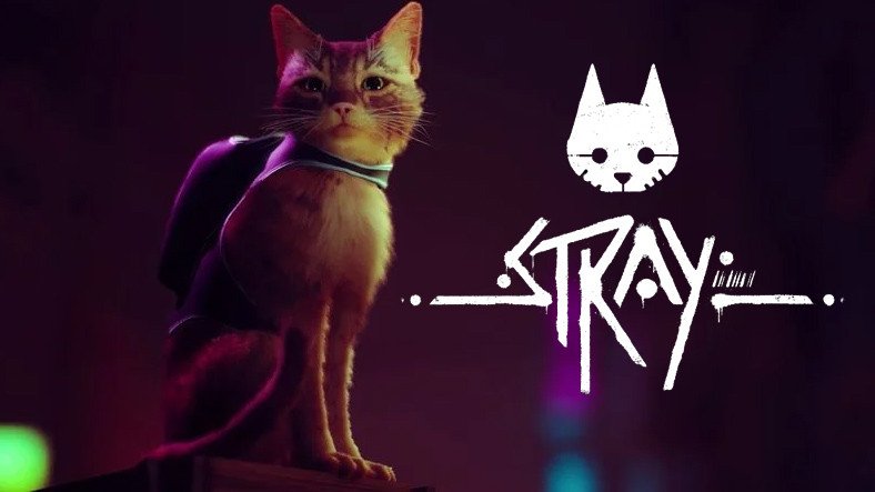 Şinasi Kaya: Kedi Simülasyonu Stray'in Çıkış Tarihi Açıklandı [Video] 3