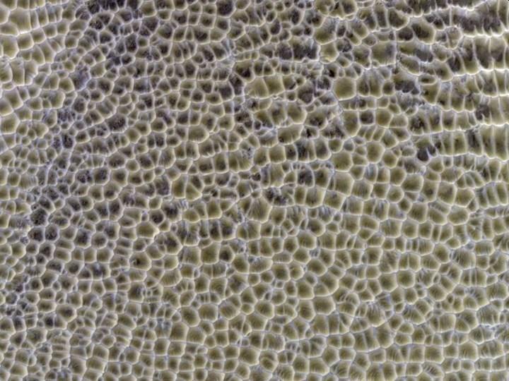 Meral Erden: Mars'Taki Garip Desenlerin Gizemi Çözüldü: Örümcek Yahut Arı Yok 3