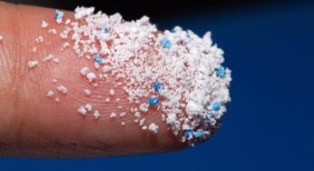 Mikroplastik tehlikesi büyüyor: Antarktika’da da tespit edildi