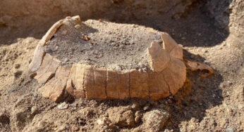 Pompeii’nin en şanssız kaplumbağası ile tanışın…
