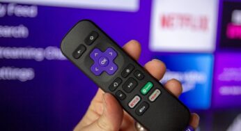 Söylenti: Netflix Roku’yu satın almayı düşünüyor