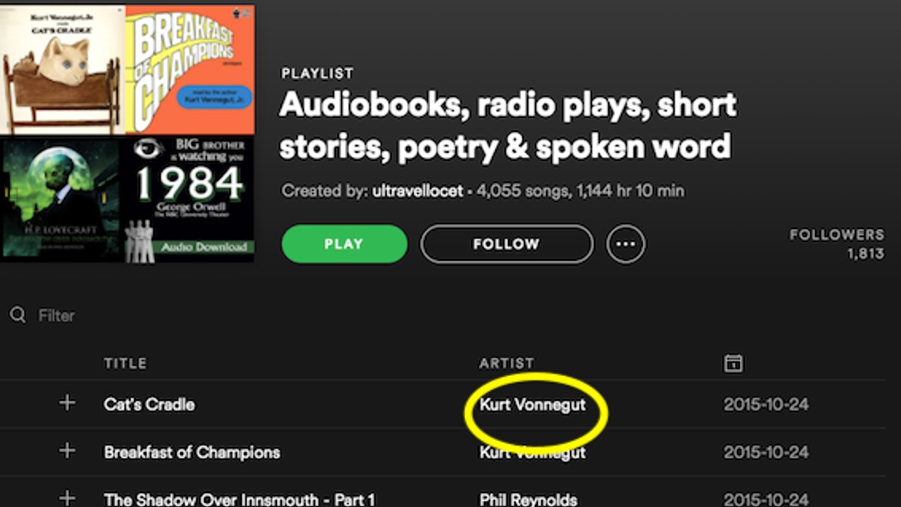 Şinasi Kaya: Spotify Sesli Kitap Özelliğini Kullanıma Sunuyor 1