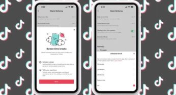 TikTok, Müddet Sonu Özelliğini Kullanıma Sundu