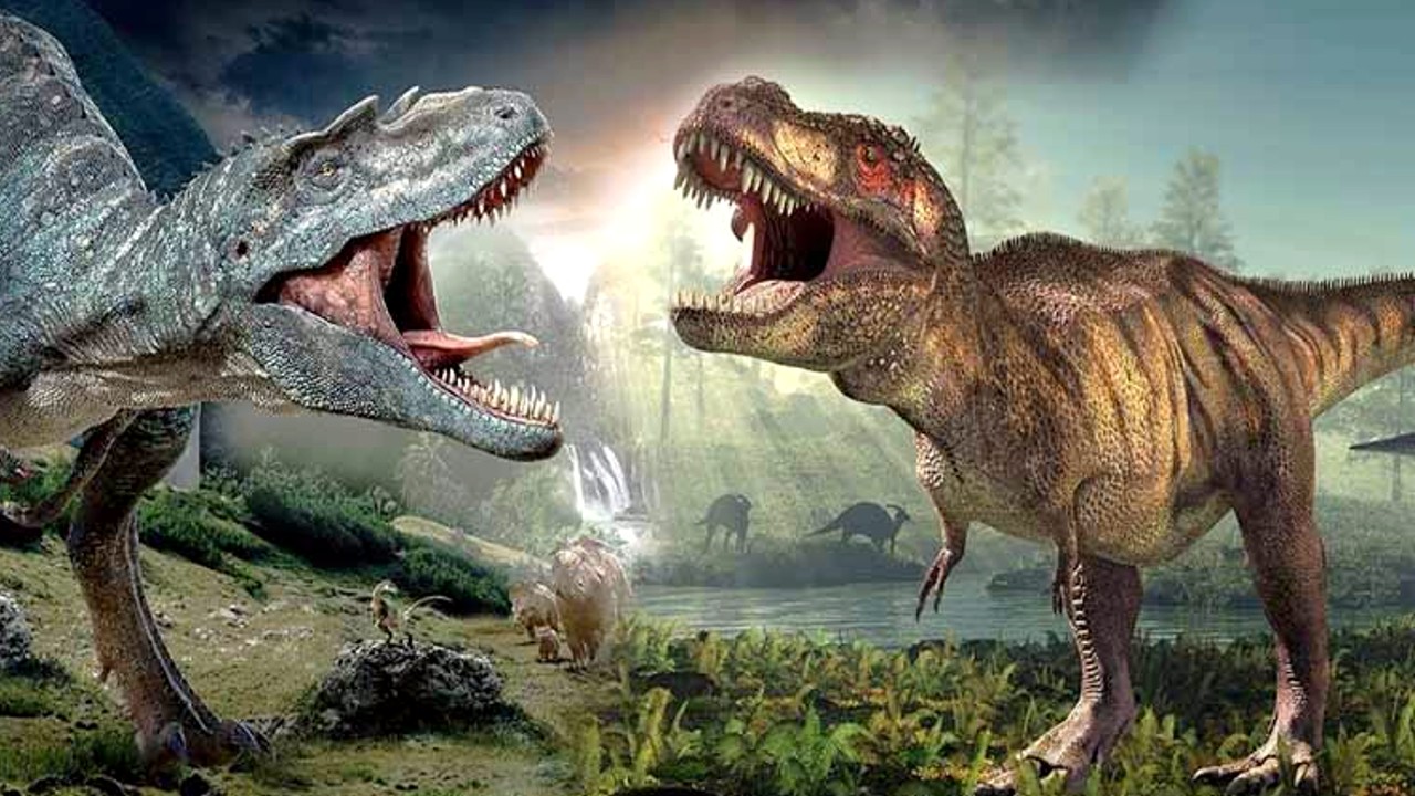 İnanç Can Çekmez: Ülkemizdeki Hafriyatlarda Neden Hiç Dinozor Fosili Bulunamıyor? 2
