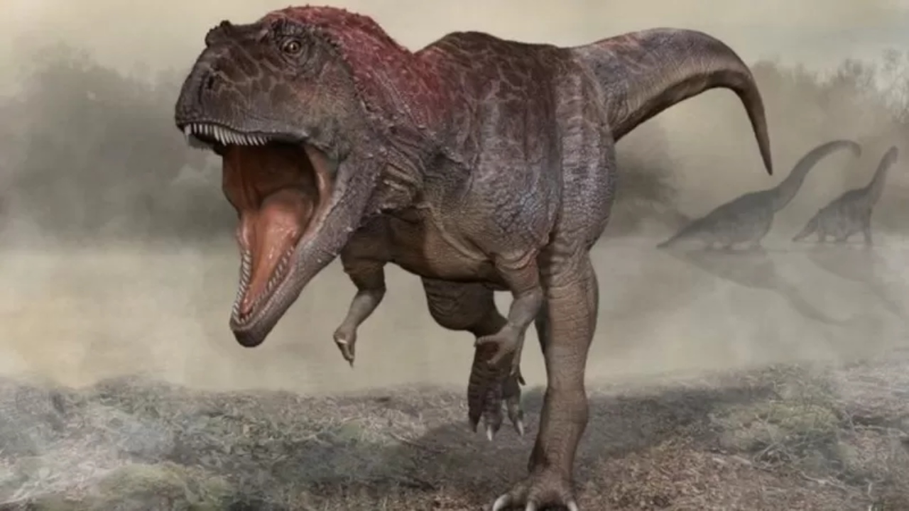 Şinasi Kaya: 3,5 Katlı Bina Uzunluğunda Yeni Bir Dinozor Çeşidi Keşfedildi 1