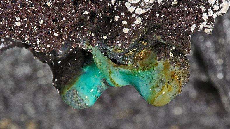 Şinasi Kaya: Antik Lav Mağaralarında 70 Yeni Mikrop Tipi Keşfedildi 3