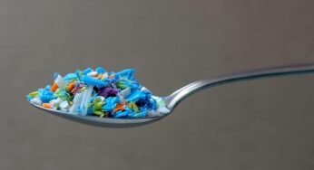 Çiftlik hayvanlarının etinde, sütünde ve kanında mikroplastik bulundu