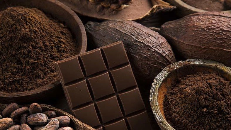 Şinasi Kaya: Çikolata, Kan Basıncını Tehlikeye Atmıyor 3