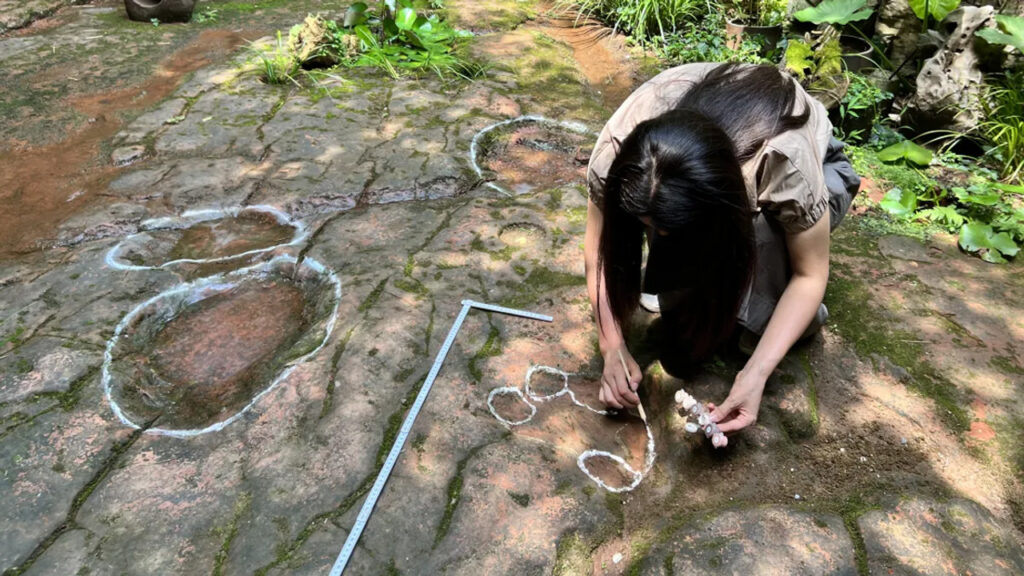 Meral Erden: Çin'deki bir restoranda bulunan 100 milyon yıllık dev ayak izinin sırrı çözüldü 1
