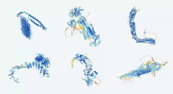 DeepMind, bilimin bildiği çabucak hemen her proteini katalogladı