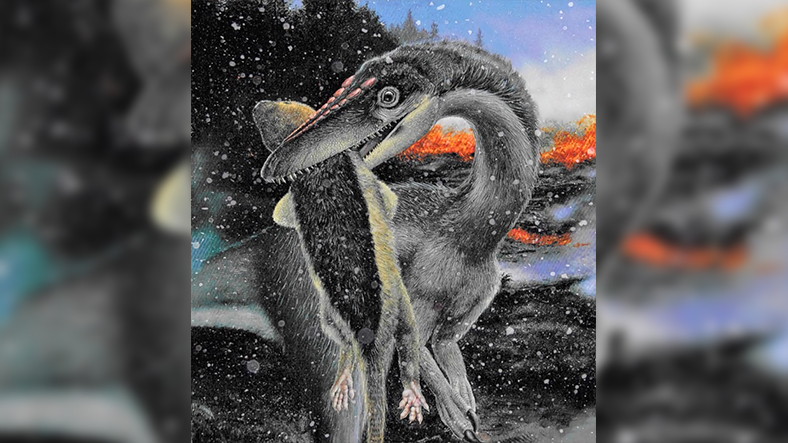 Ulaş Utku Bozdoğan: Dinozorların Buzul Çağında da Yaşadığı Ortaya Çıktı 3