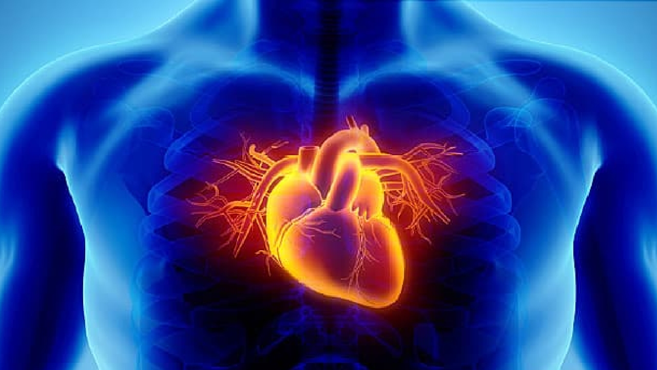 Meral Erden: Genetik Kalp Hastalıklarına Karşı DNA Tedavisi Geliyor! 53