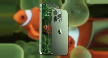 iPhone 14 serisine ilişkin kılıf manzaraları ortaya çıktı