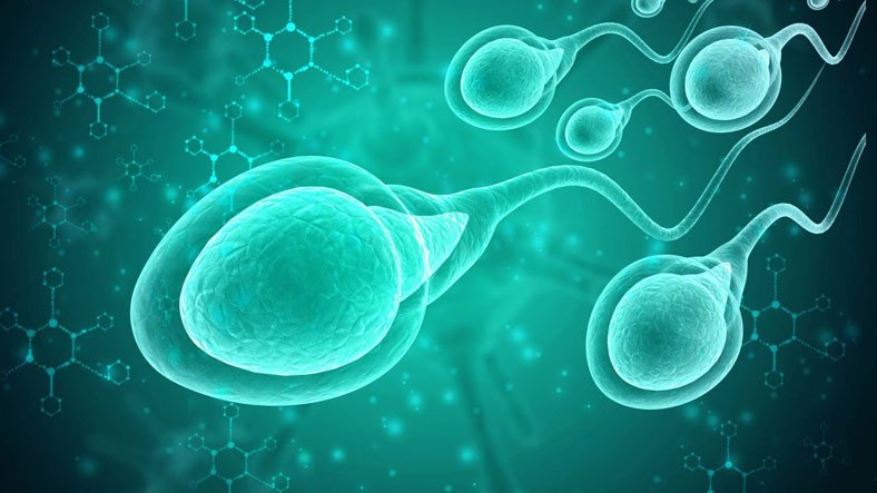 İnanç Can Çekmez: Kilo Vermek, Sperm Kalitesini ve Sayısını Artırıyor 3