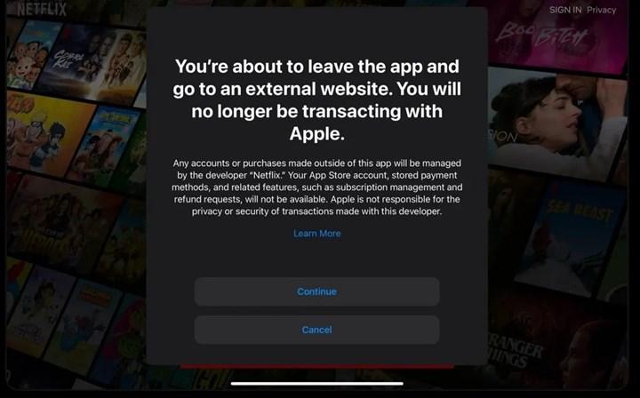 Şinasi Kaya: Netflix uygulaması nihayet App Store komitelerinden kurtuluyor 1