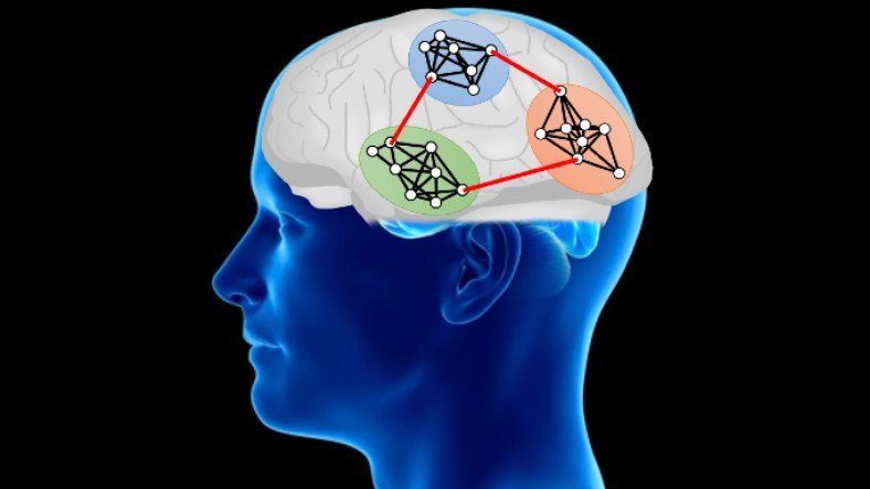 İnanç Can Çekmez: Nöronların 'Birbirleriyle' Nasıl Bağlantı Kurduğu Keşfedildi 3