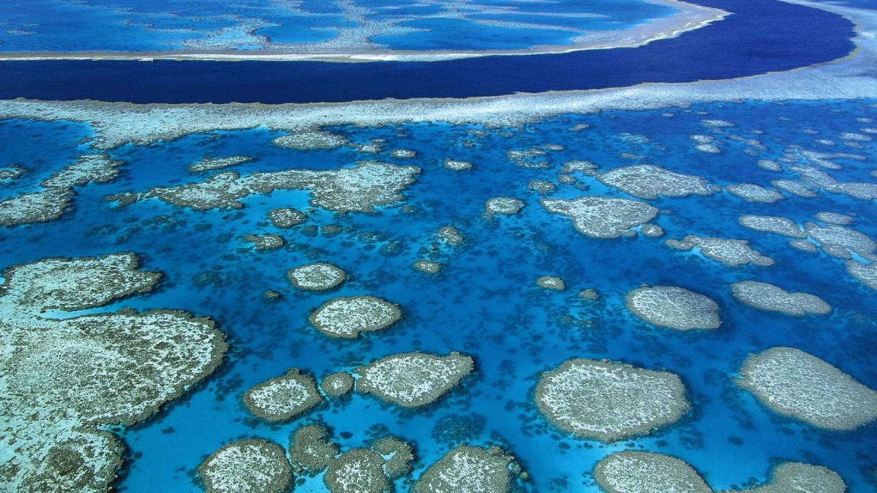 Meral Erden: Okyanuslar Hakkında Bilmek İsteyeceğiniz 10 Değerli Bilgi 11