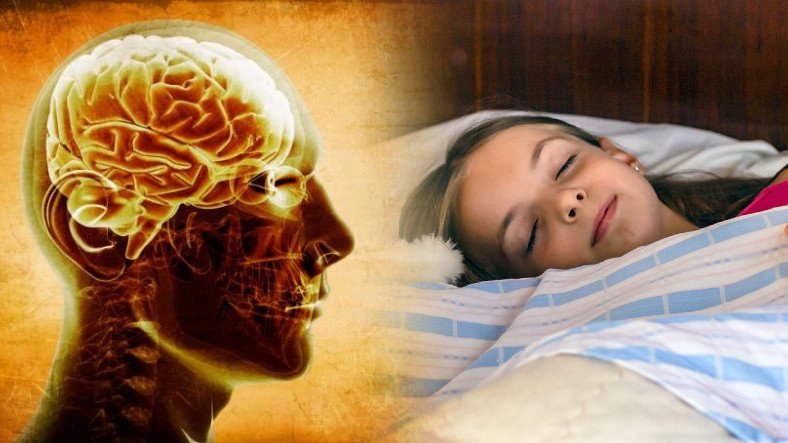 Meral Erden: Uykusuzluğun Çocukların Beynine Ziyan Verdiği Keşfedildi 3