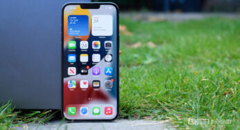 Apple’ın Phone 14 modellerinde kullanacağı OLED ekranların hepsi birebir olmayacak