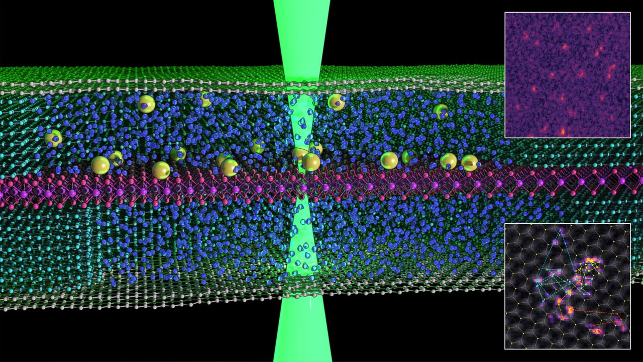 Meral Erden: Atomlar Birinci Defa Sıvı İçinde 'Yüzerken' Görüntülendi 2