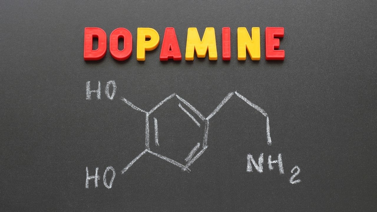 Şinasi Kaya: Dopamin Nedir ve Eksikliği Nelere Yol Açar ? 6