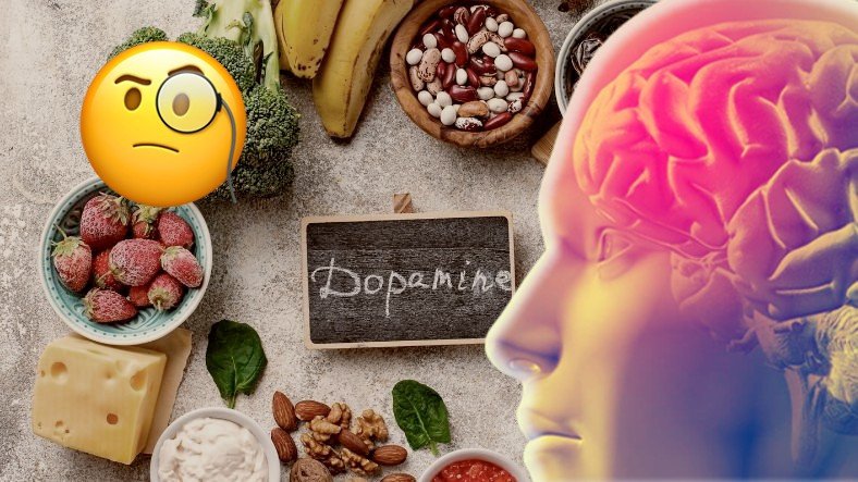 Şinasi Kaya: Dopamin Nedir ve Eksikliği Nelere Yol Açar ? 17