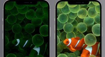 iPhone 14 Pro always on display özelliğini gösteren görüntü paylaşıldı