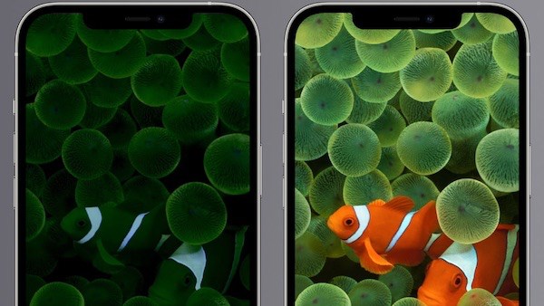 Meral Erden: iPhone 14 Pro always on display özelliğini gösteren görüntü paylaşıldı 3
