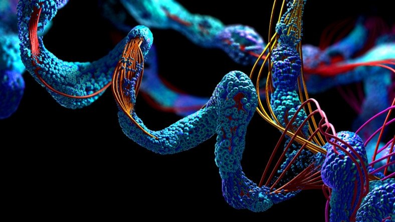 Ulaş Utku Bozdoğan: Yapay Zeka Protein Modellerini Tekrar Keşfetti 3