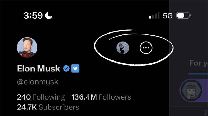 Şinasi Kaya: Elon Musk'ın Sahte Twitter Hesapları Varmış! 1