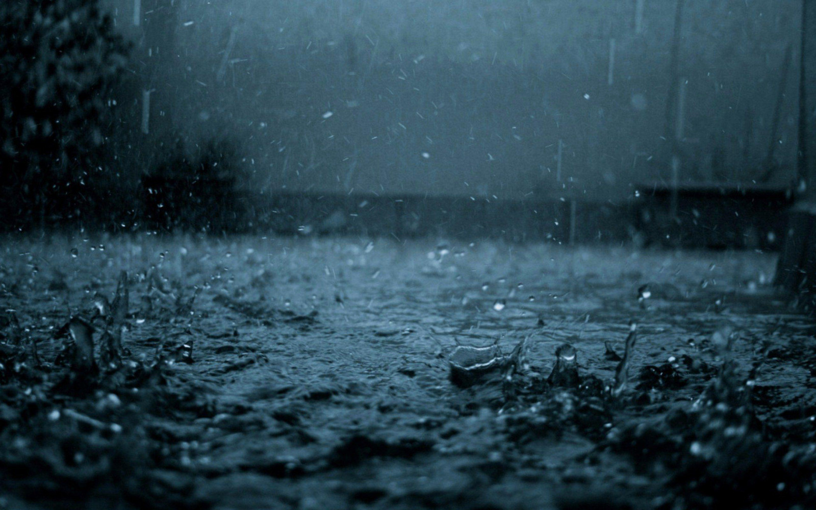 Şinasi Kaya: Beşerler, Nasıl Oluyor Da Yağmur Yağacağını Evvelce &Quot;Koklayabiliyor?&Quot; 1