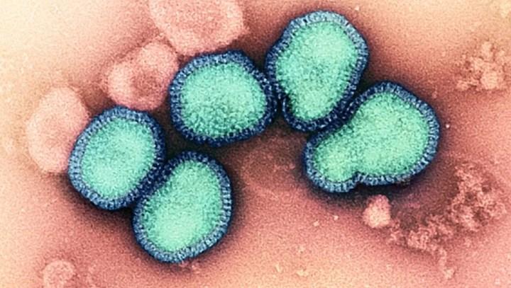 İnanç Can Çekmez: Daima grip aşısı olmaya son: Global mRNA grip aşısının insan denemeleri başladı 33
