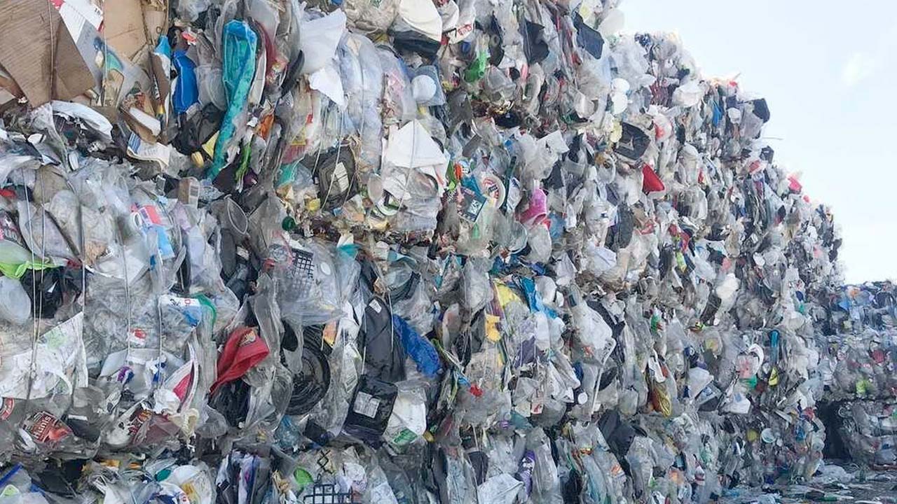 Meral Erden: Geri Dönüştürülmüş Plastik De Sağlığımızı Tehdit Ediyor 3
