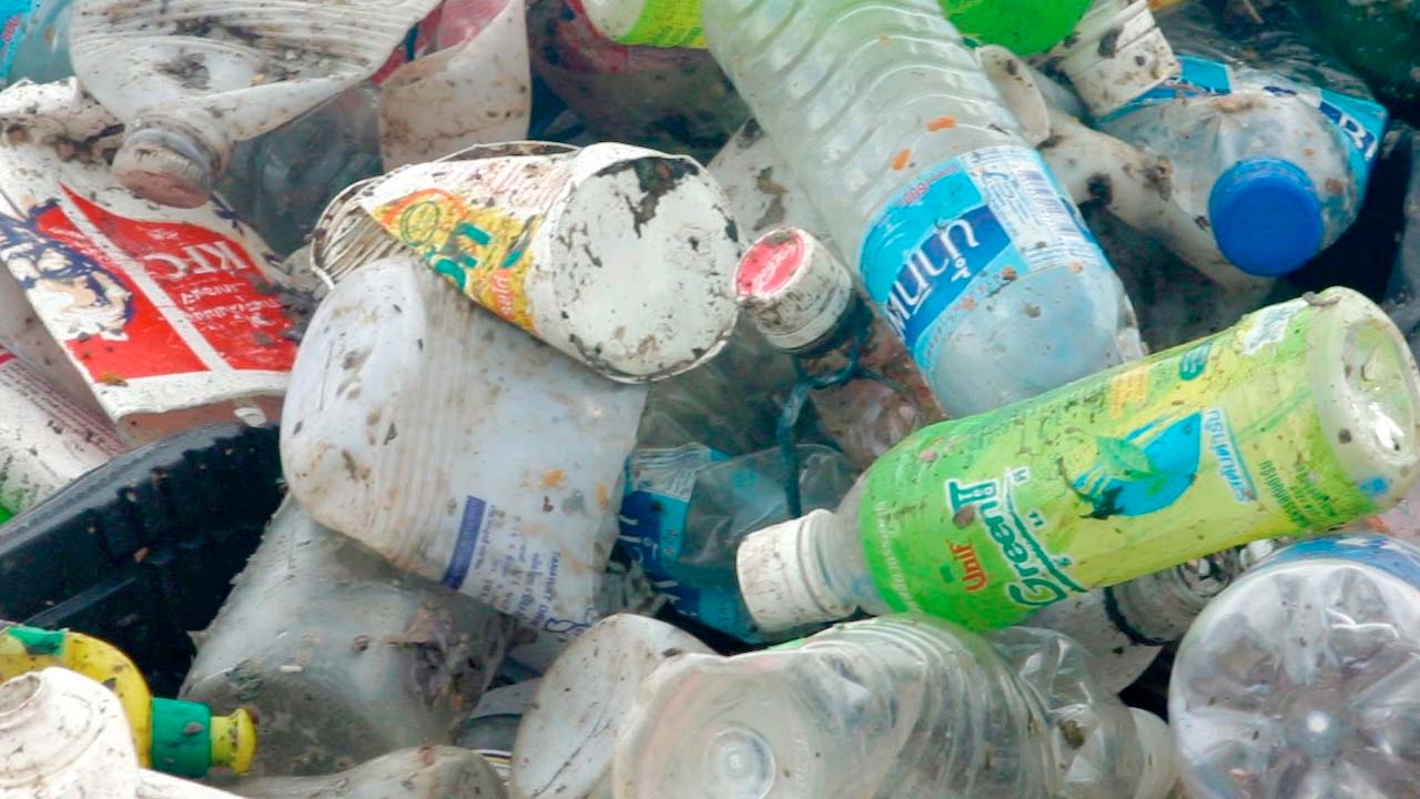 Meral Erden: Geri Dönüştürülmüş Plastik De Sağlığımızı Tehdit Ediyor 5