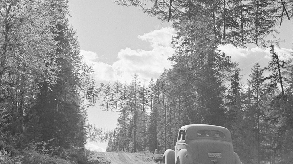 İnanç Can Çekmez: İkinci Dünya Savaşı'ndan kalan bu fotoğraftaki ağaçlar neden "uçuyor?" 3