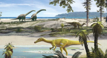 İspanya’da Yeni Bir Dinozor Türü Keşfedildi