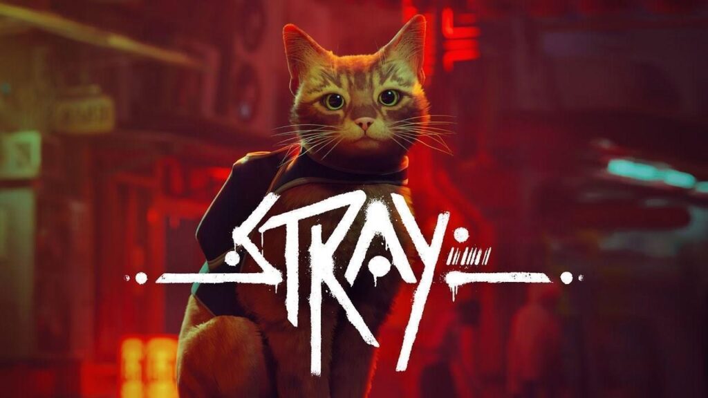 Şinasi Kaya: Kedi oyunu Stray yakında Xbox'a gelebilir 5